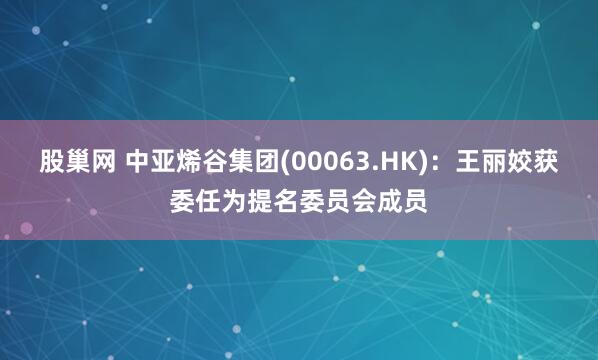 股巢网 中亚烯谷集团(00063.HK)：王丽姣获委任为提名委员会成员