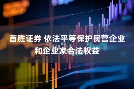 首胜证券 依法平等保护民营企业和企业家合法权益