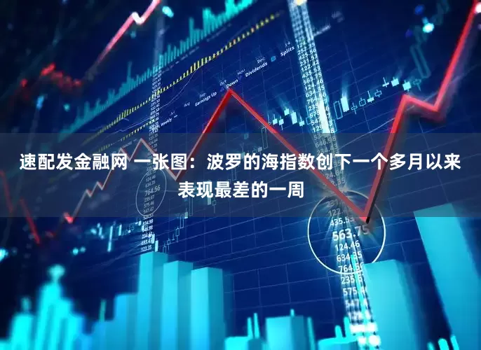 速配发金融网 一张图：波罗的海指数创下一个多月以来表现最差的一周