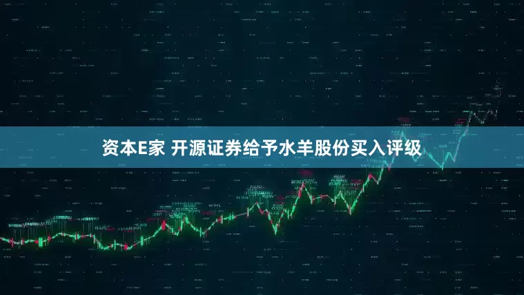 资本E家 开源证券给予水羊股份买入评级