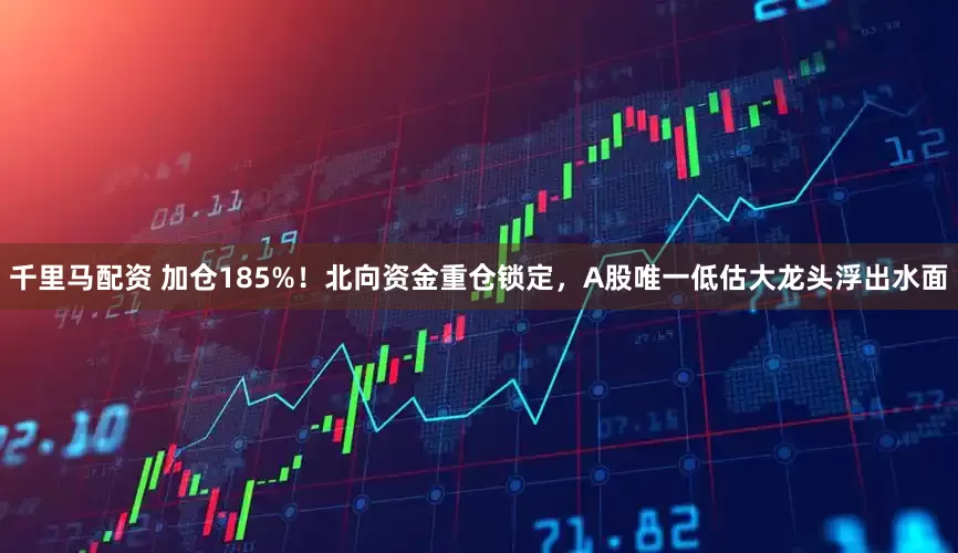 千里马配资 加仓185%！北向资金重仓锁定，A股唯一低估大龙头浮出水面